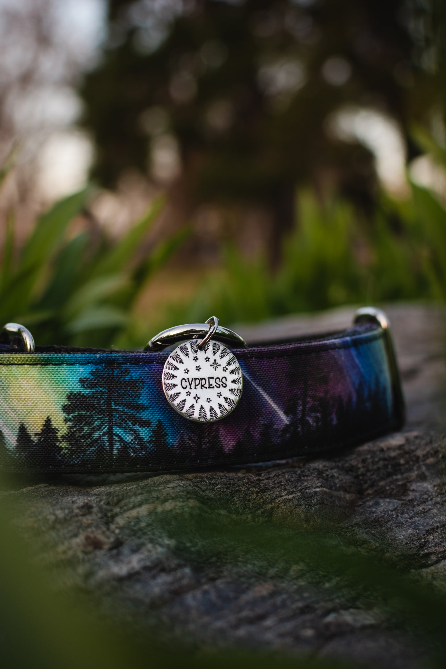 Starry Night