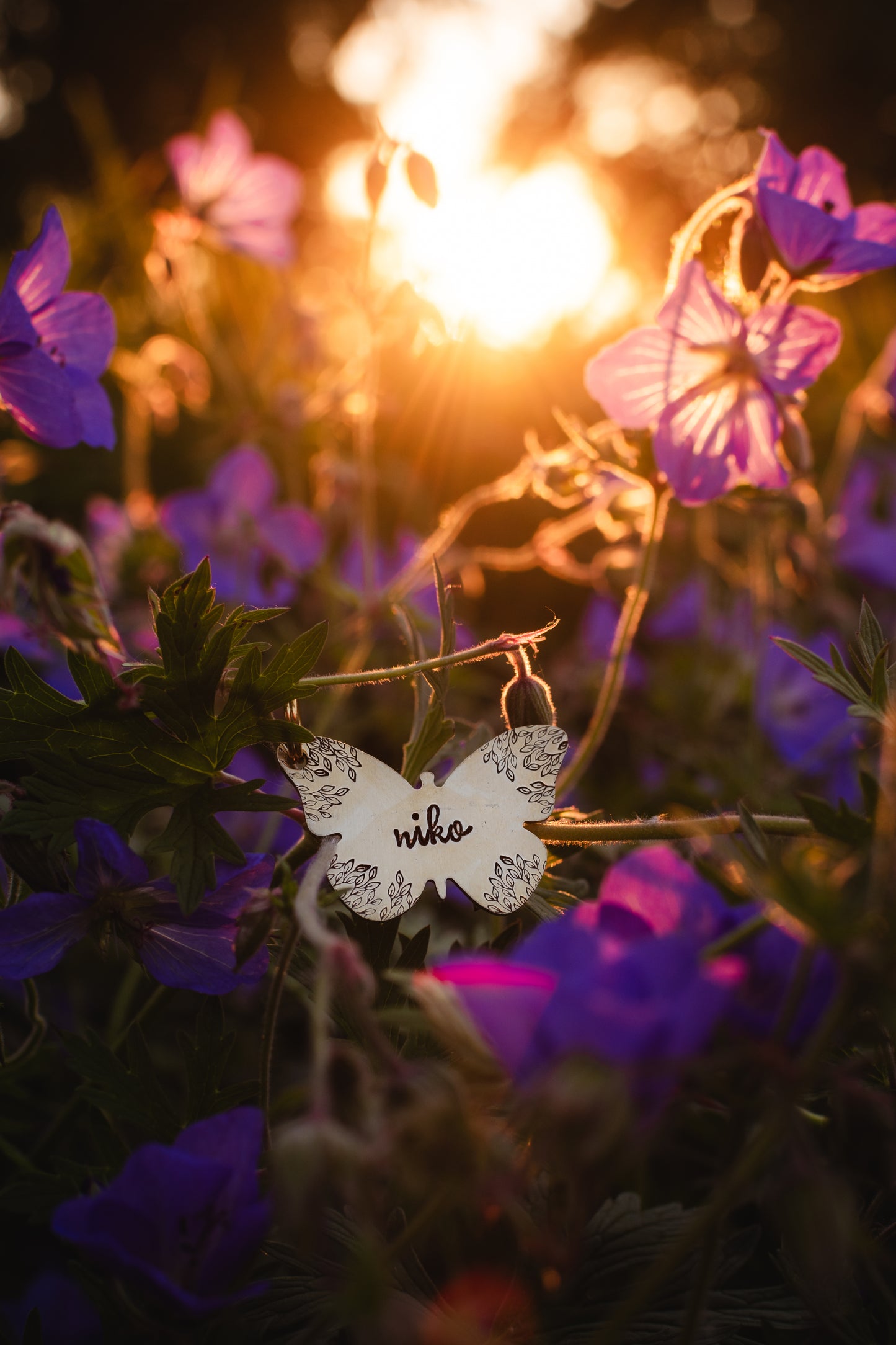 Mariposa