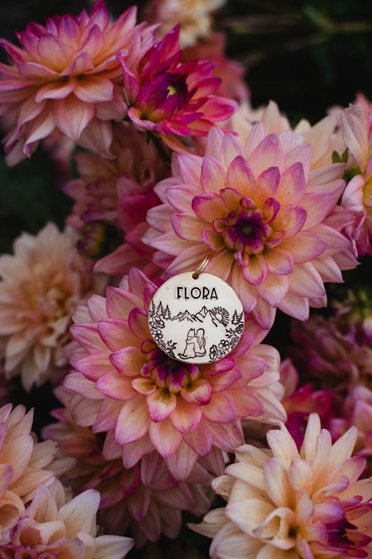 Canyon Creek Meadows