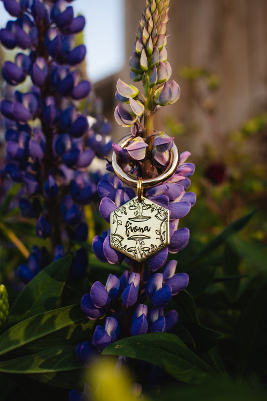 Through The Looking Glass