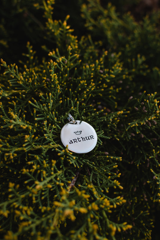 Once and Future King