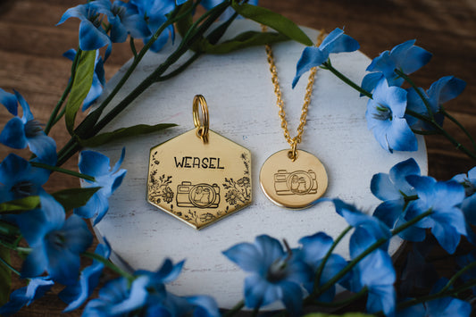 Picture Perfect Bundle