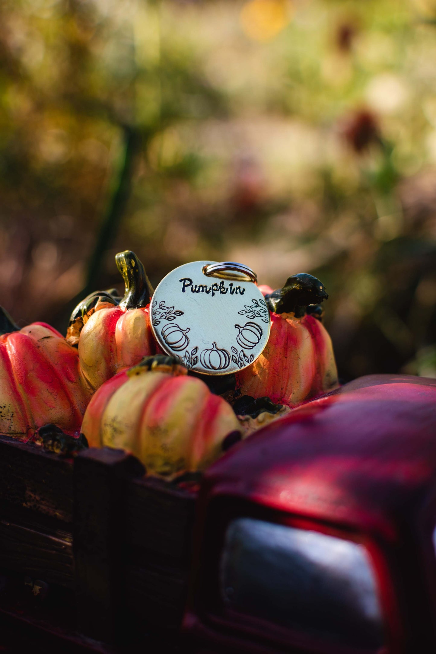 Pumpkin Patch