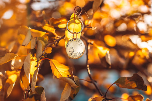 Sailing Across The Sea