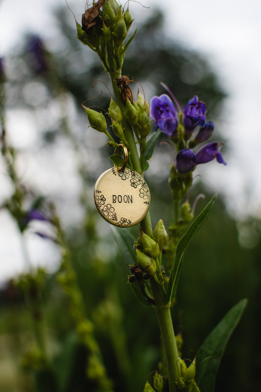 Forget-Me-Nots