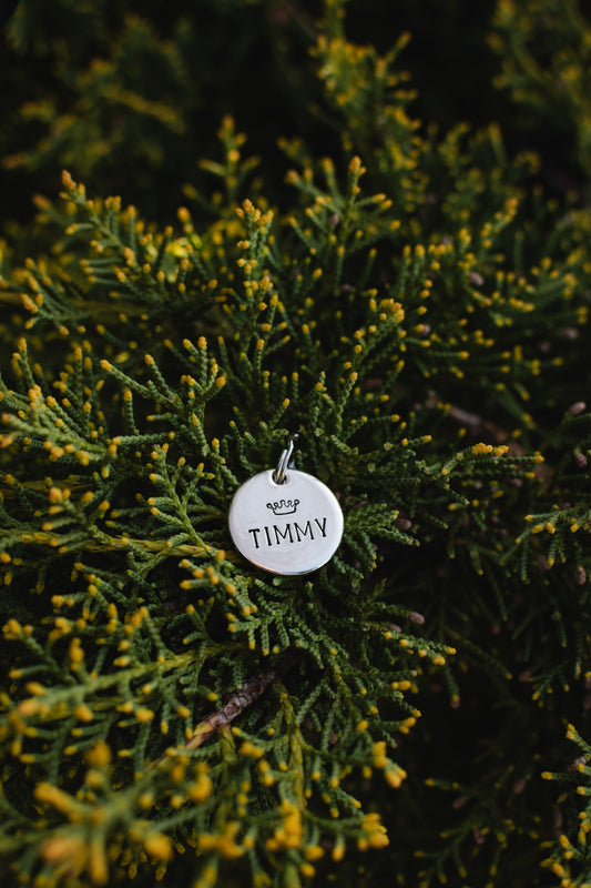 Once and Future King - Cat Tag