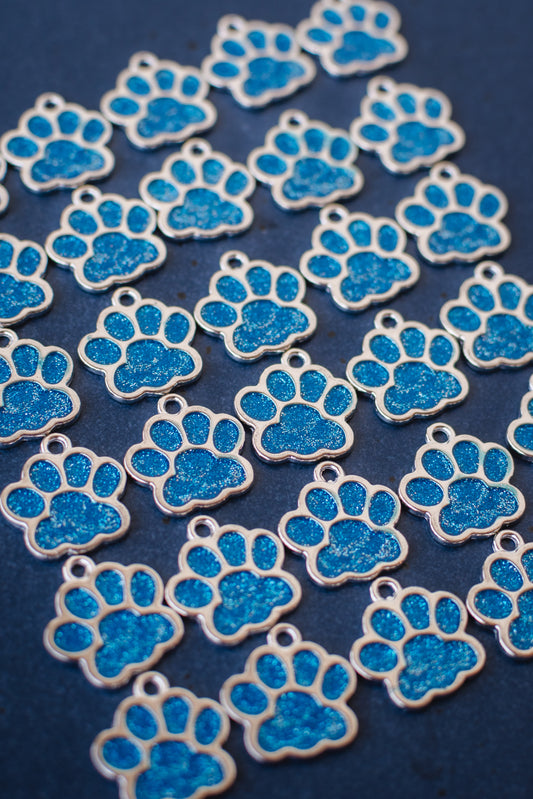 Paw Print | Charm